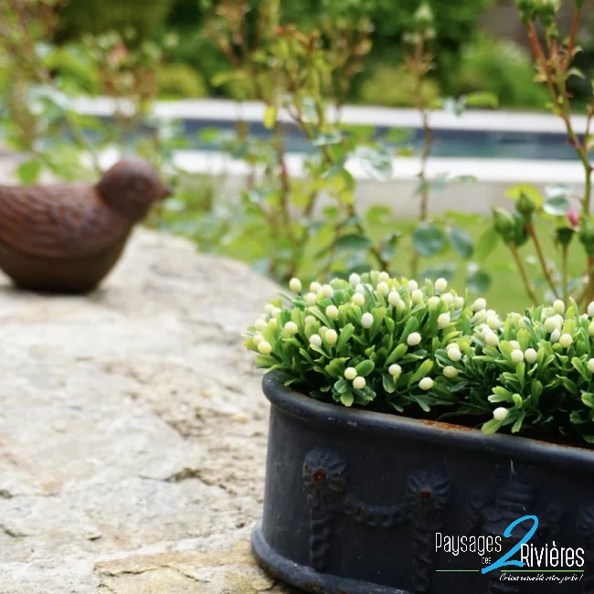 Plantes et oiseau - Paysagiste Nantes des Deux Rivières