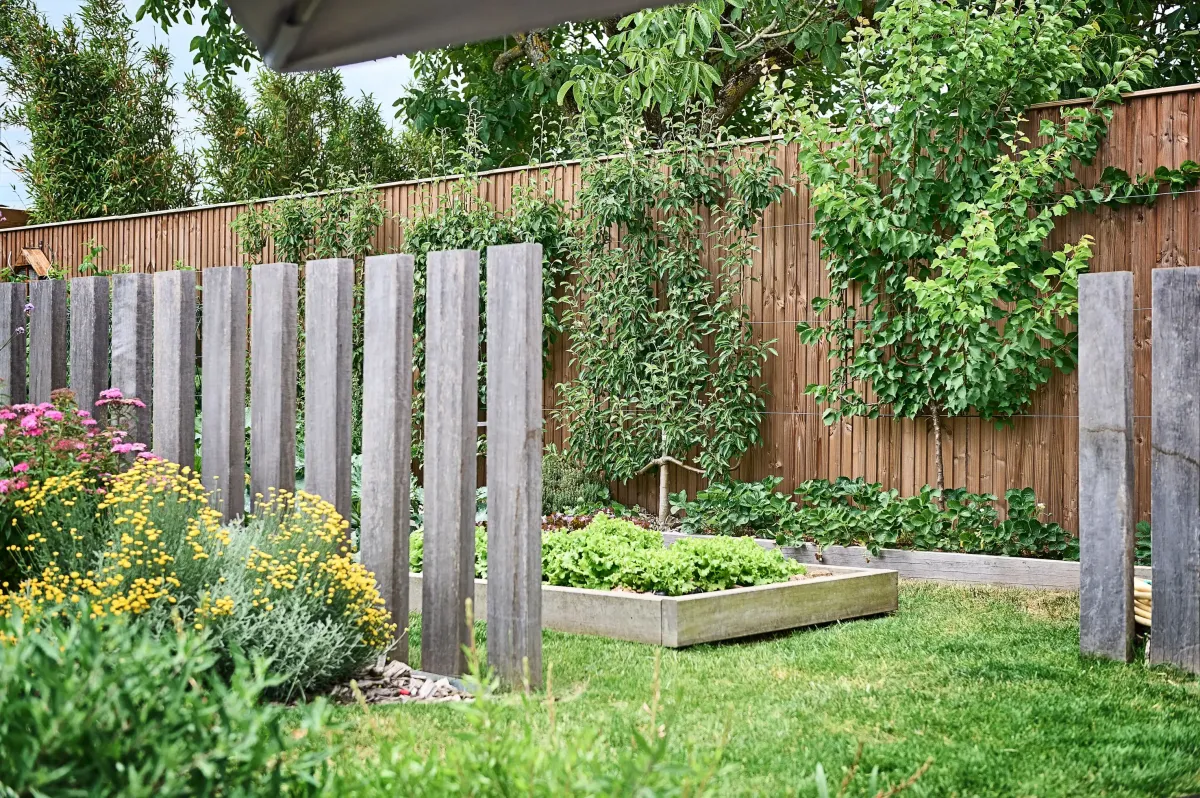 cloture de potager en bois