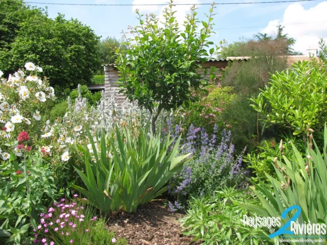 Massifs de jardin avec plantations - Paysagiste Nantes des Deux Rivières