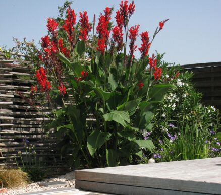 jardin et massifs - aménagement de jardin - Paysages des 2 Rivières