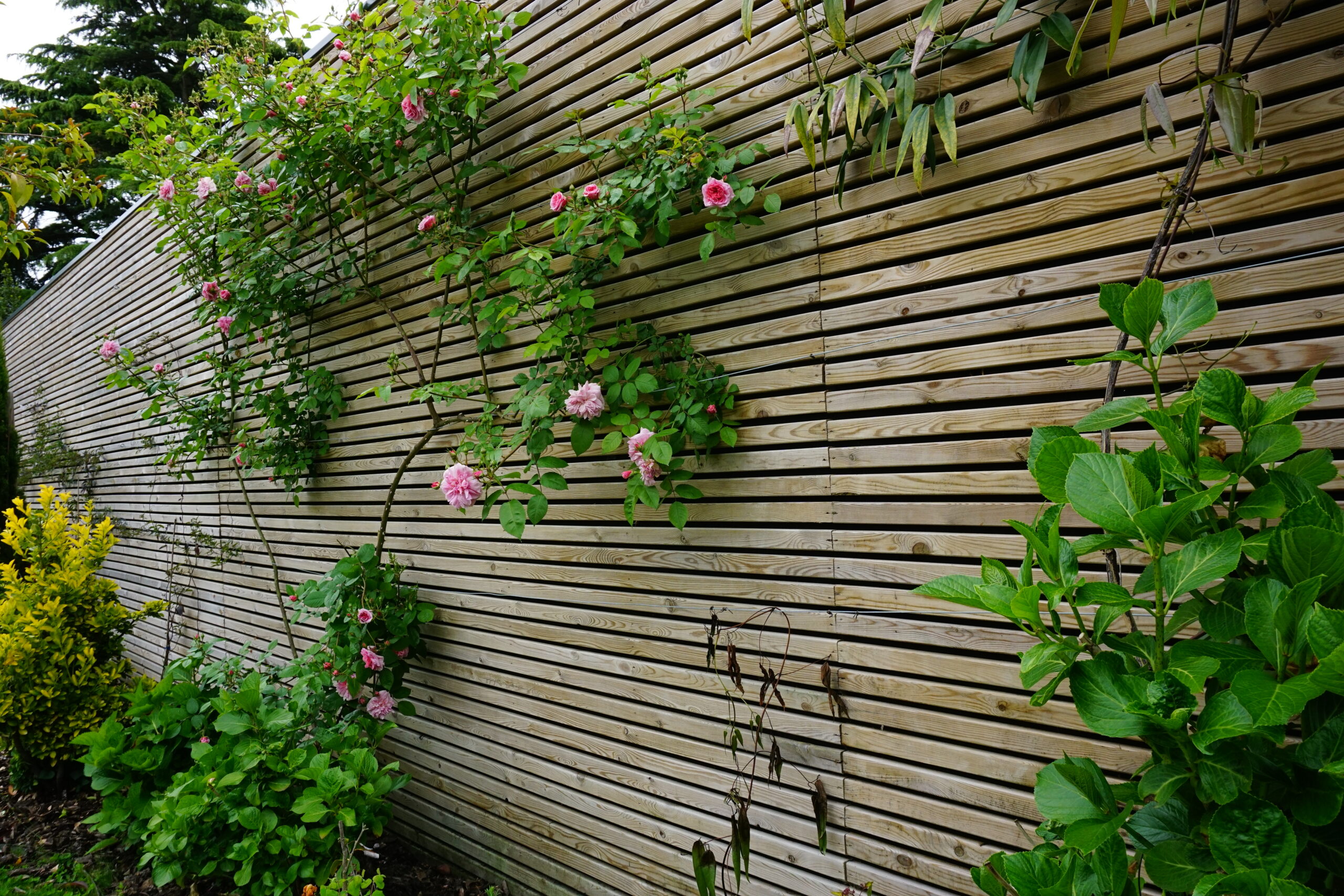 clôture en bois - clôtures de jardin