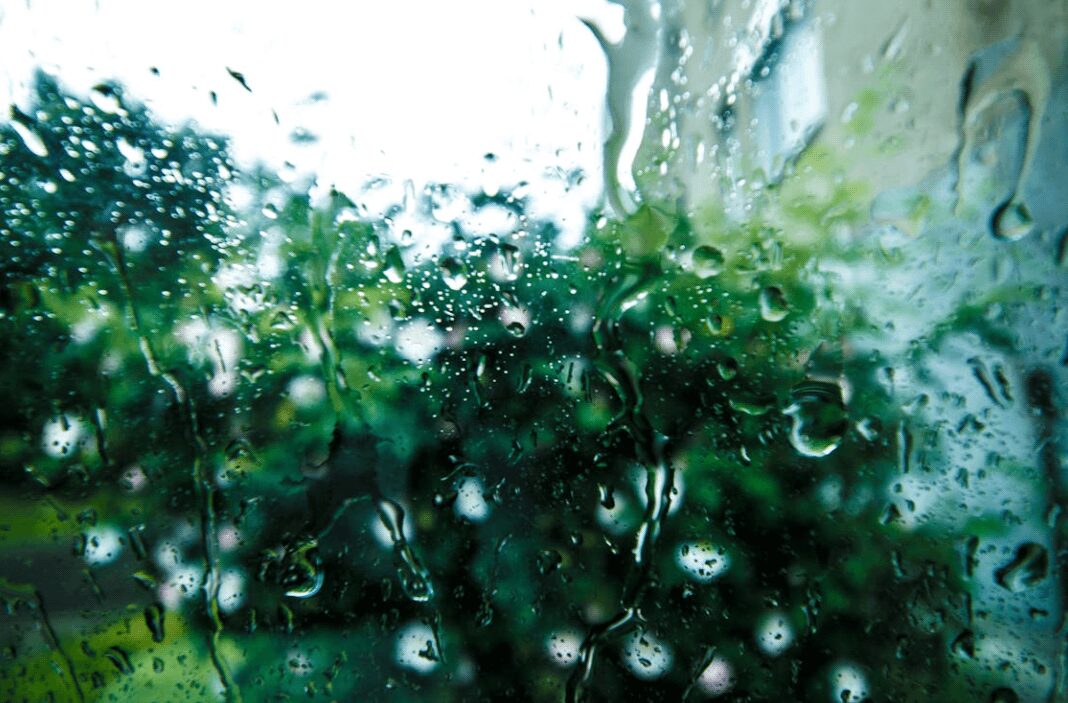 Évacuation des eaux de pluie dans le jardin : solutions et entretien après une année pluvieuse