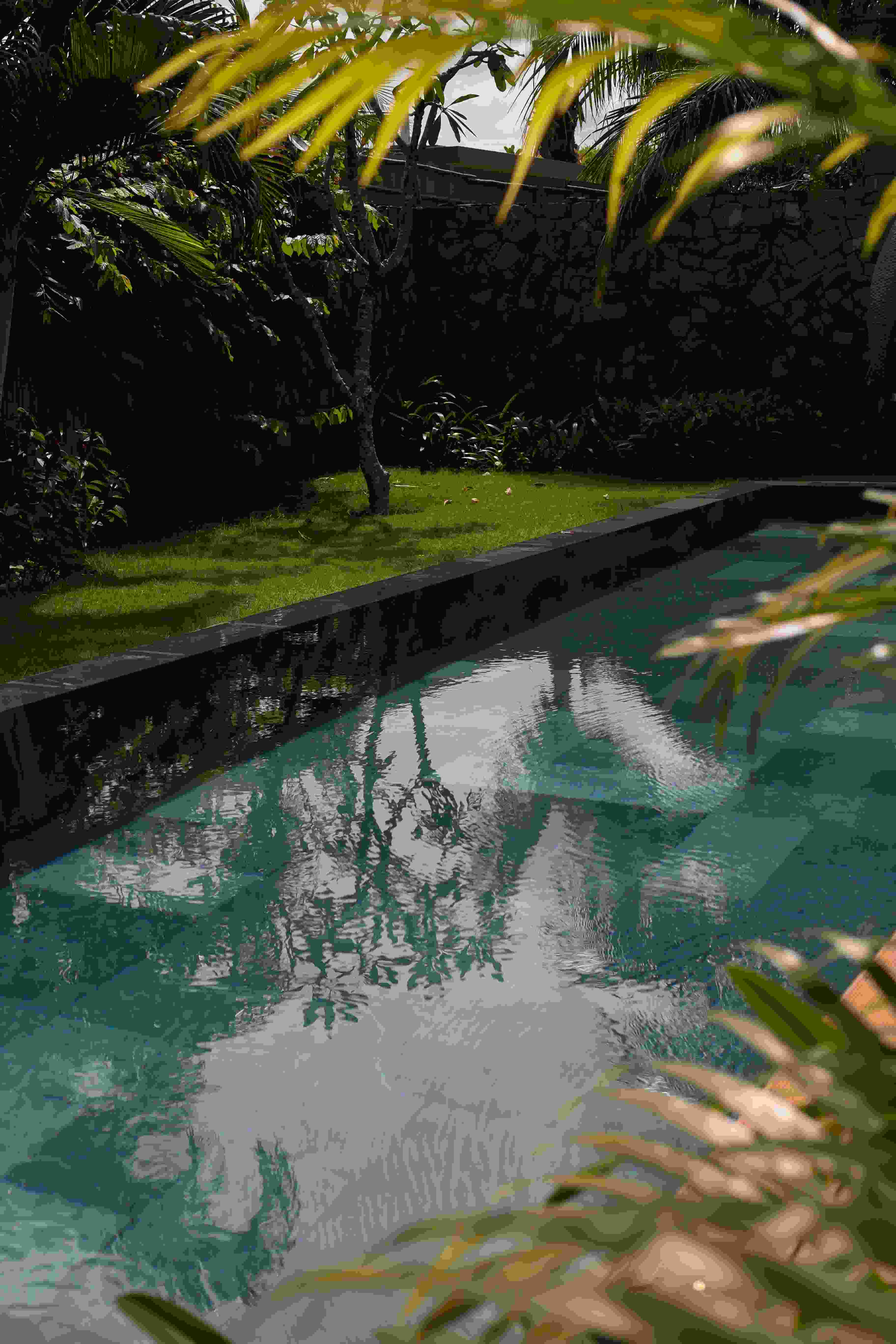 Petit jardin avec piscine et palmiers – Inspiration tropicale – paysages des 2 rivières