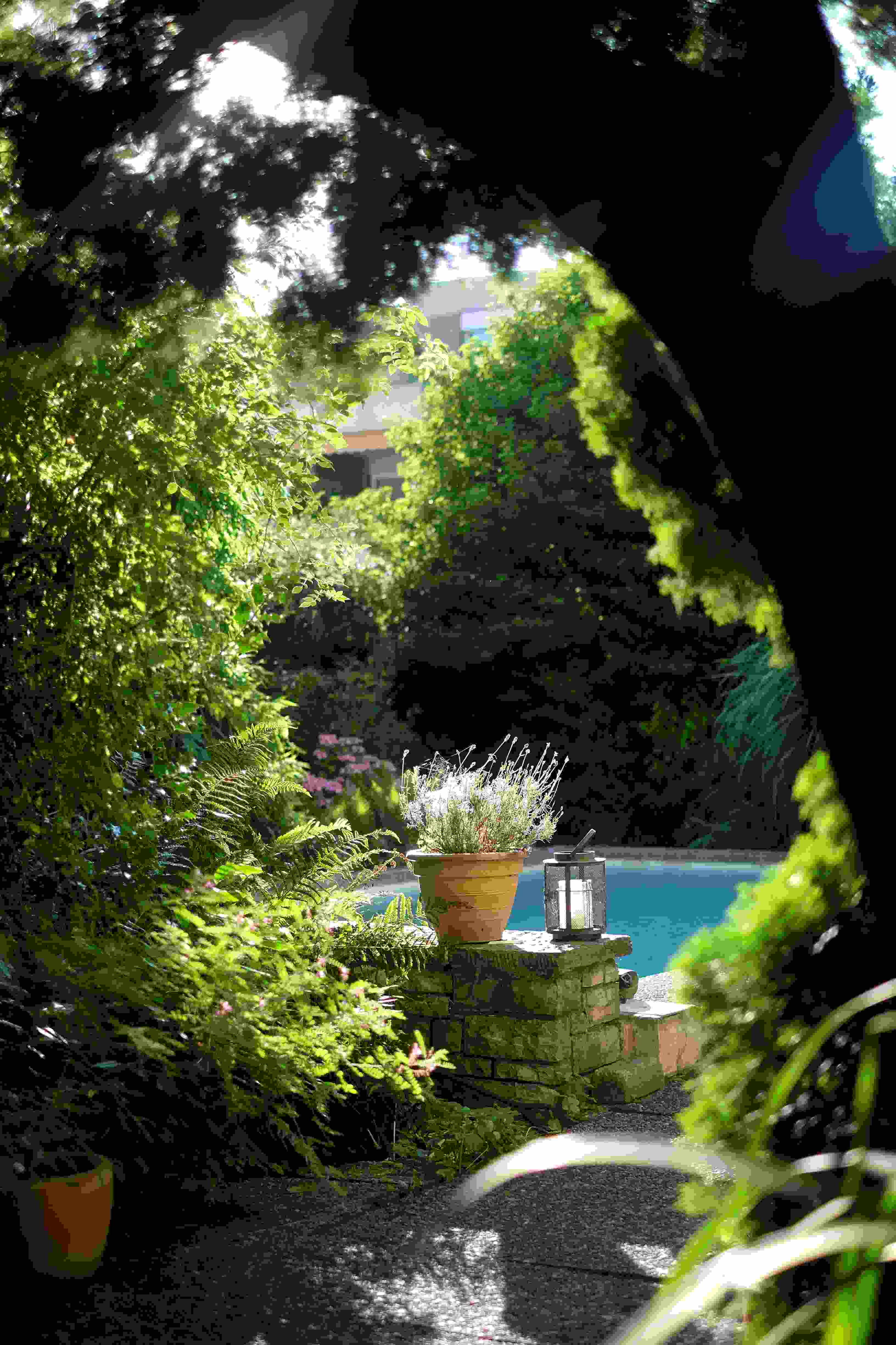 Petit jardin avec piscine naturelle et coin détente végétalisé – paysages des 2 rivières