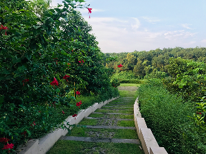 chemin-paysager-escalier-jardin-en-pente-nantes