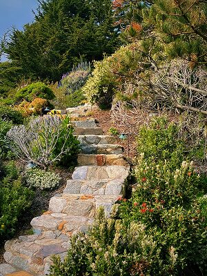 aménagement jardin en pente-paysagiste-nantes