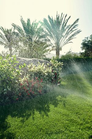 arrosage automatique jardin 4