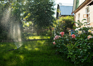 arrosage automatique jardin 5