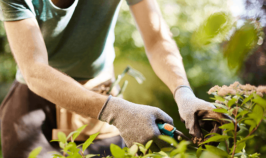 recherche chez d'équipe paysagiste nantes