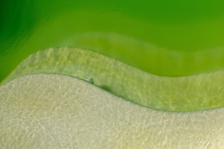 Eau trouble piscine - paysagiste des 2 rivières5